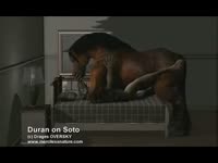 Beastiality fetish film featuring huge horse banging tiny creature
